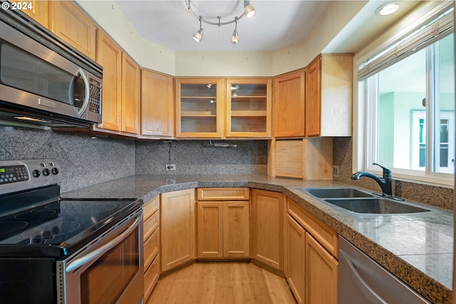 kitchen featuring light hardwood / wood-style floors, appliances with stainless steel finishes, sink, and decorative backsplash