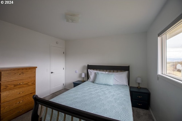 bedroom featuring dark colored carpet