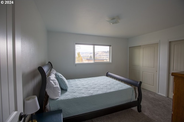 carpeted bedroom featuring a closet