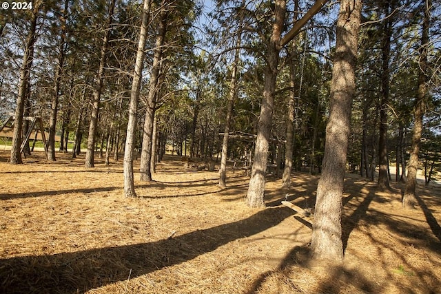 view of local wilderness