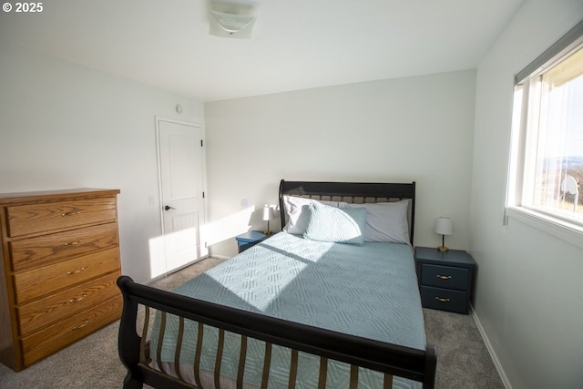 carpeted bedroom with multiple windows