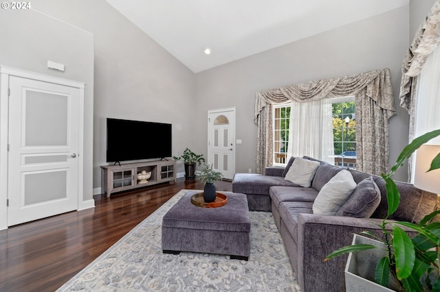 living room with hardwood / wood-style floors and high vaulted ceiling