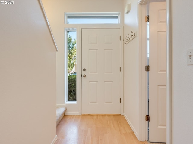 entrance foyer featuring light hardwood / wood-style flooring