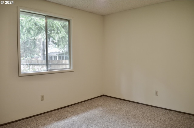 empty room featuring carpet floors and a textured ceiling