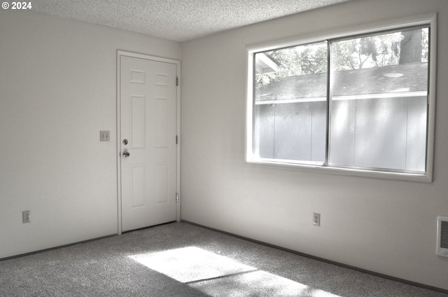 empty room featuring carpet flooring, a textured ceiling, and plenty of natural light