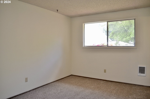 carpeted spare room with a textured ceiling and plenty of natural light