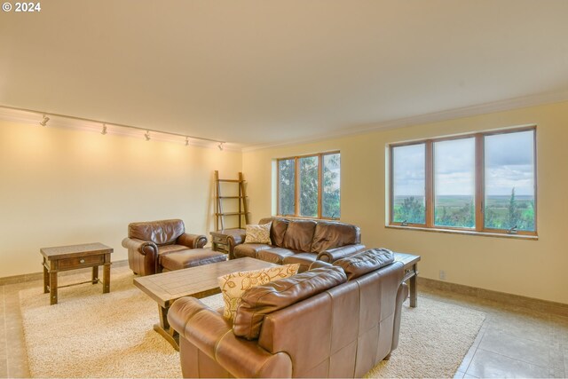 living room with crown molding, tile flooring, and track lighting