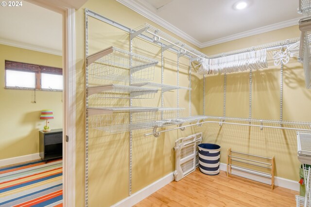 spacious closet with hardwood / wood-style flooring