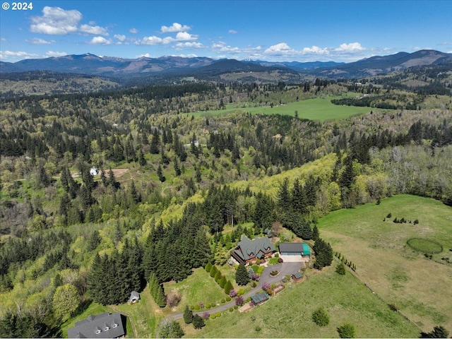 birds eye view of property featuring a mountain view