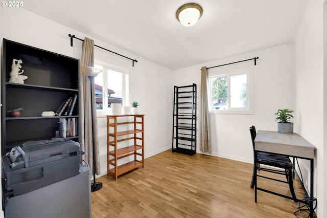 office featuring hardwood / wood-style floors and a wealth of natural light