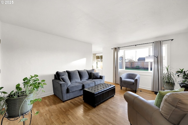 living room with hardwood / wood-style flooring