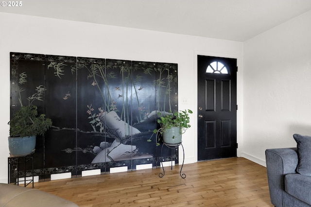 entrance foyer with wood-type flooring