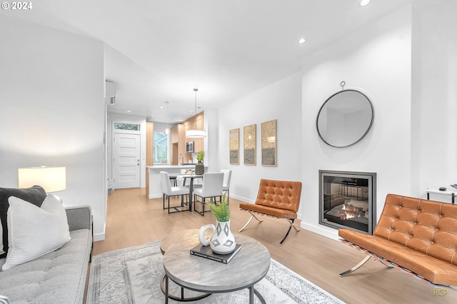 living room featuring light hardwood / wood-style floors