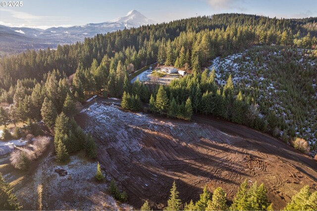 4974 Hillcrest Dr, Mount Hood Prkdl, OR 97041