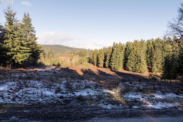 4974 Hillcrest Dr, Mount Hood Prkdl, OR 97041