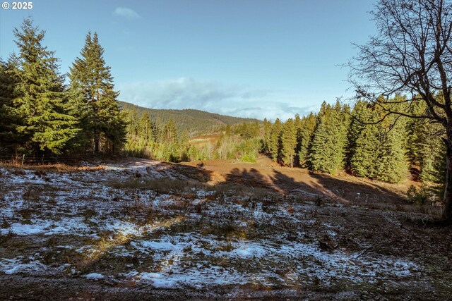 4974 Hillcrest Dr, Mount Hood Prkdl, OR 97041