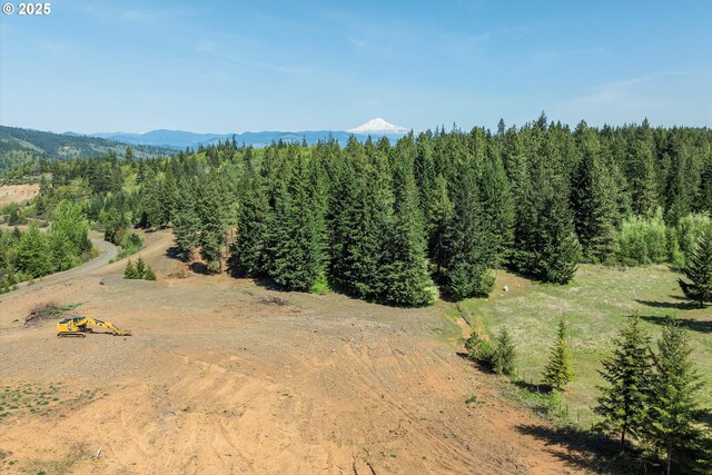 4974 Hillcrest Dr, Mount Hood Prkdl, OR 97041