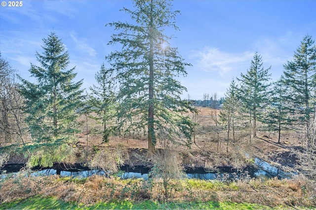 view of landscape featuring a water view