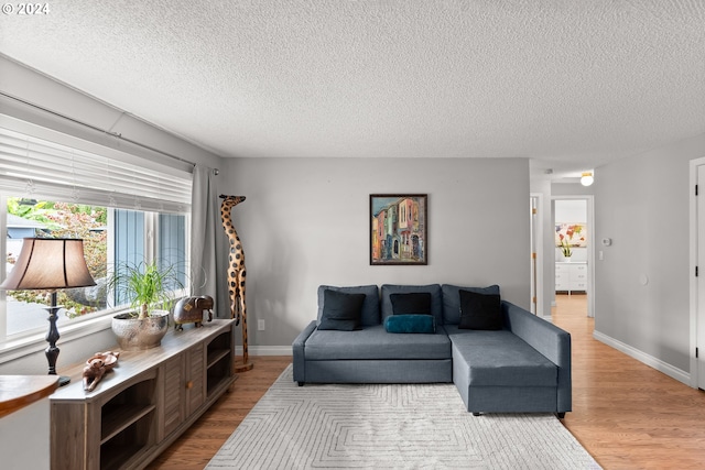 living room featuring a textured ceiling and light wood-type flooring