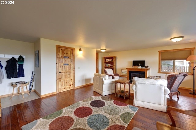 living room featuring dark wood-type flooring