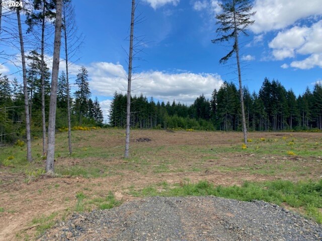 132 Nando Ln, Chehalis, WA 98532