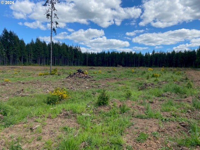 132 Nando Ln, Chehalis, WA 98532