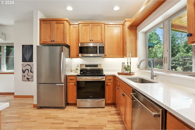 kitchen featuring light hardwood / wood-style floors, stainless steel appliances, and sink