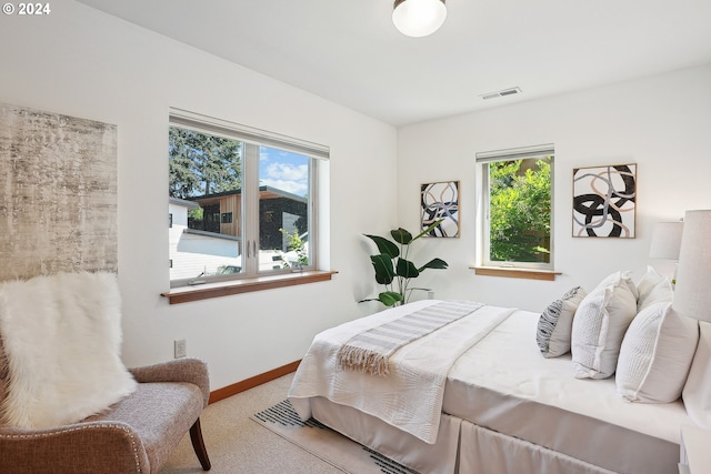 carpeted bedroom with multiple windows