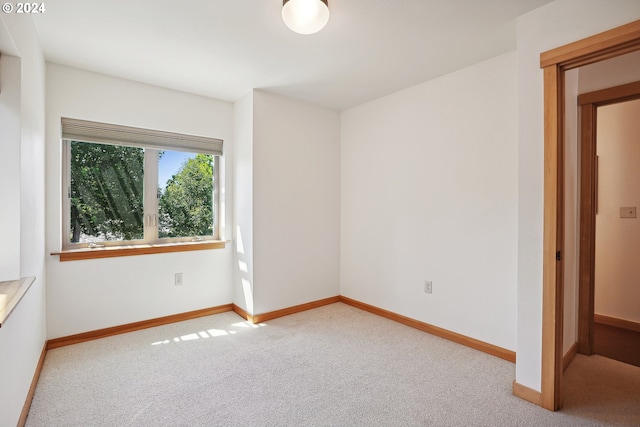 unfurnished bedroom featuring carpet