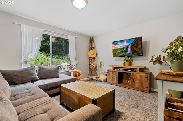 view of carpeted living room