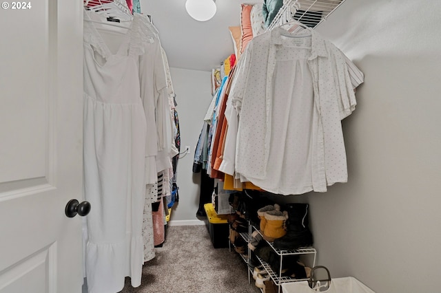 spacious closet featuring carpet floors