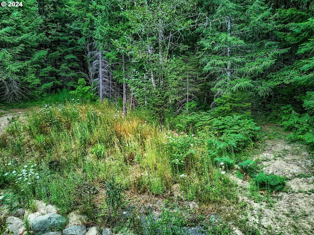 view of local wilderness