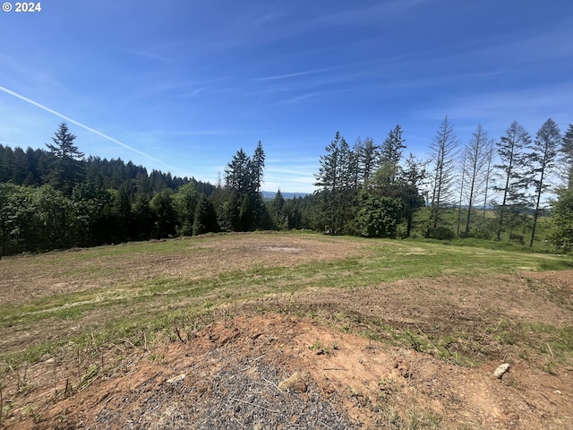 16253 NW Old Pumpkin Ridge Rd, North Plains OR, 97133 land for sale