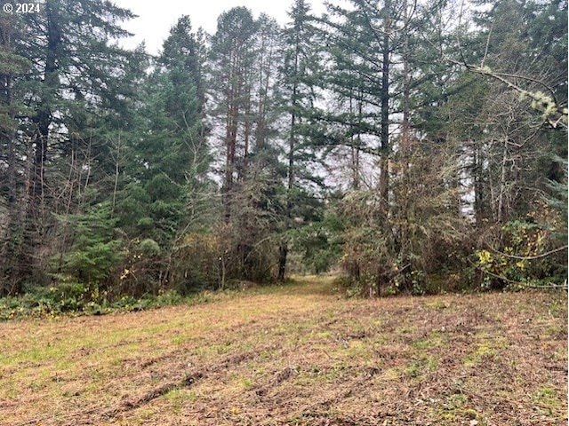 NW Plainview Rd, Portland OR, 97231 land for sale