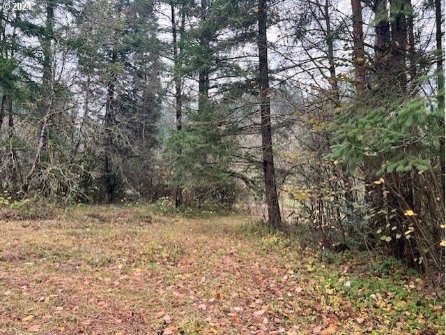 NW Plainview Rd, Portland, OR 97231