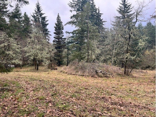NW Plainview Rd, Portland, OR 97231