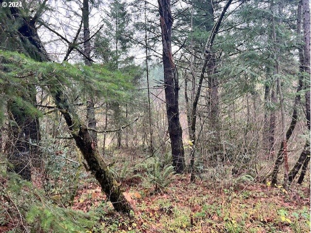 NW Plainview Rd, Portland, OR 97231
