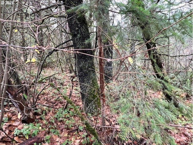 NW Plainview Rd, Portland, OR 97231