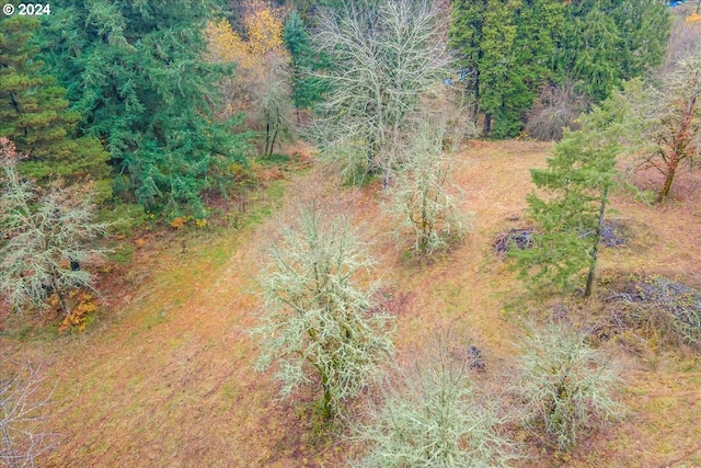 NW Plainview Rd, Portland, OR 97231