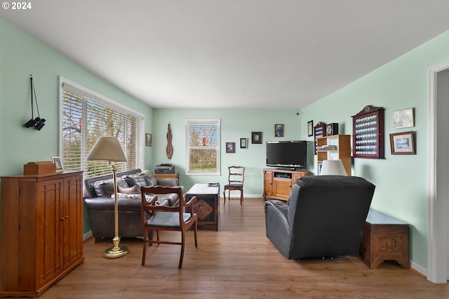 living room with hardwood / wood-style floors