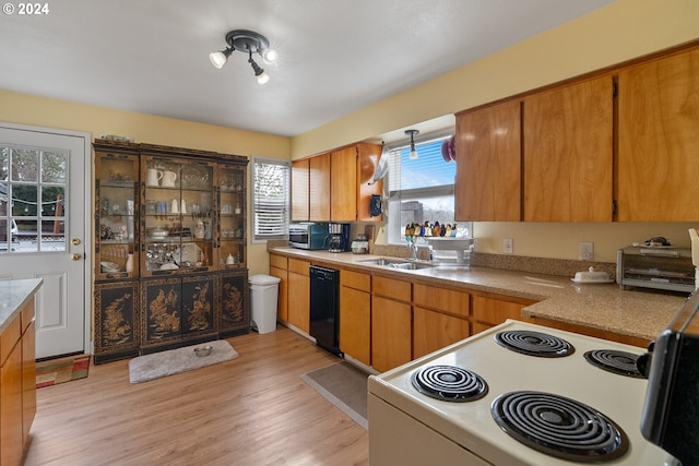 kitchen with dishwasher, light hardwood / wood-style floors, sink, and white electric range oven