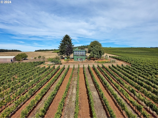 view of yard with a rural view