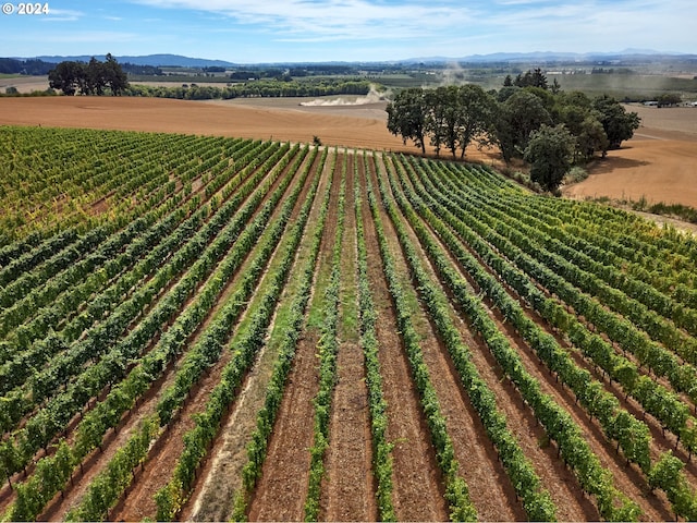 birds eye view of property featuring a rural view