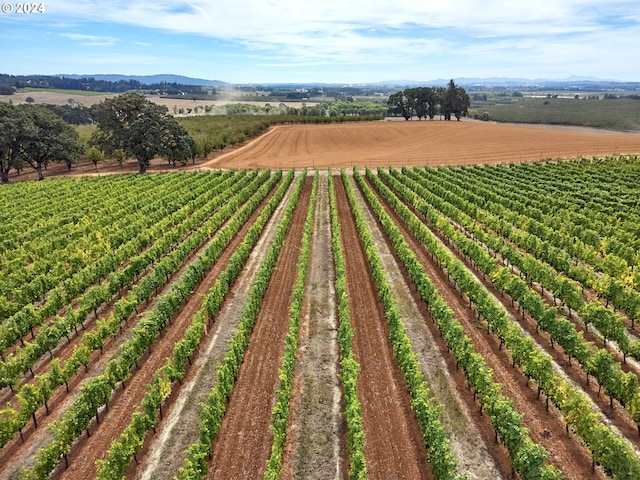 birds eye view of property featuring a rural view