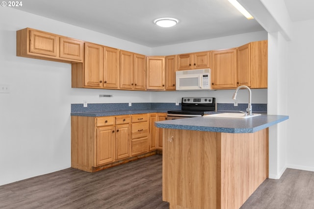 kitchen with dark hardwood / wood-style floors, stainless steel electric range oven, and sink