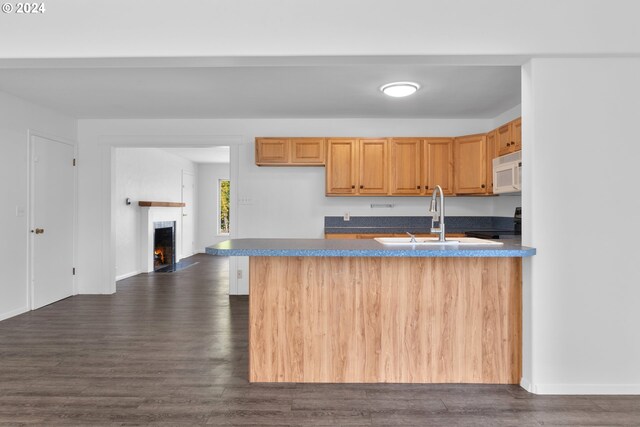 kitchen featuring sink, range, and dark wood-type flooring