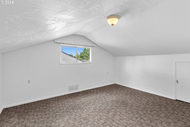 additional living space with carpet, a textured ceiling, and lofted ceiling