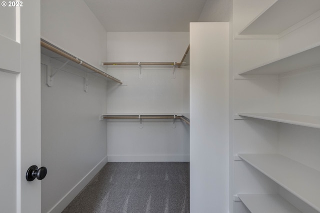 walk in closet with dark colored carpet