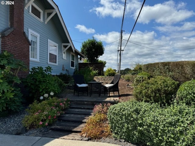 view of yard featuring a patio area