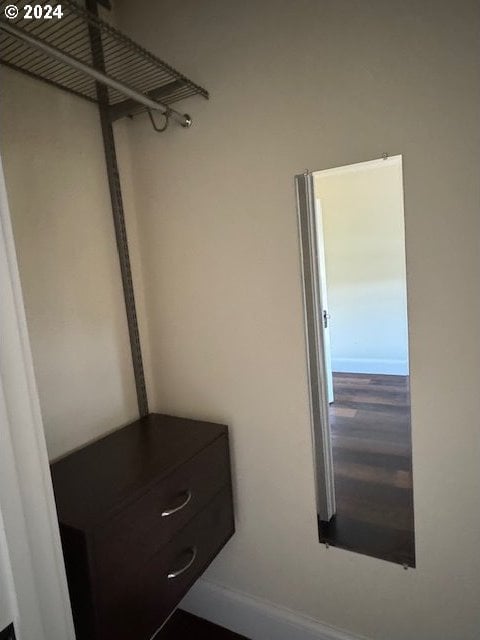 spacious closet with wood-type flooring